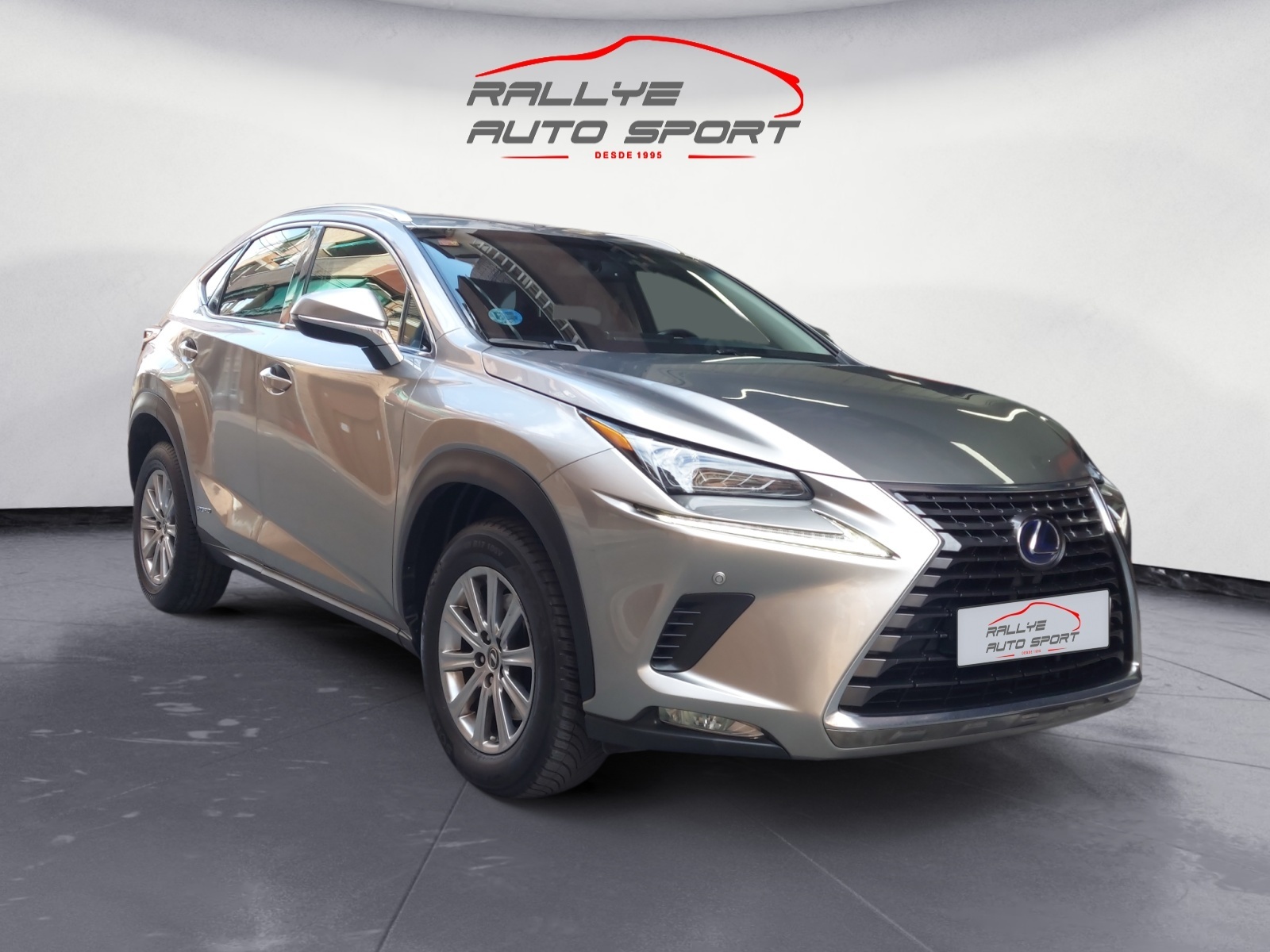 LEXUS NX 300H 2.5 197 CV